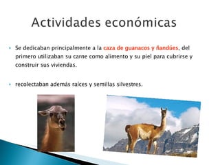 Se dedicaban principalmente a la  caza de guanacos y ñandúes , del primero utilizaban su carne como alimento y su piel para cubrirse y construir sus viviendas. recolectaban además raíces y semillas silvestres.   