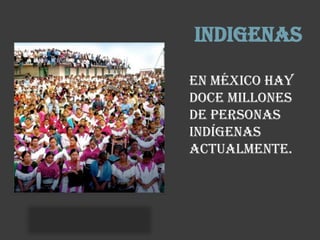 INDIGENAS

En México hay
doce millones
de personas
indígenas
actualmente.
 