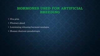 HORMONES USED FOR ARTIFICIAL
BREEDING
• Ova prim
• Pituitary gland
• Luteinizing releasing hormone-analogue
• Human chorionic gonadotropin
 