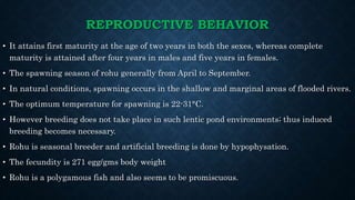 REPRODUCTIVE BEHAVIOR
• It attains first maturity at the age of two years in both the sexes, whereas complete
maturity is attained after four years in males and five years in females.
• The spawning season of rohu generally from April to September.
• In natural conditions, spawning occurs in the shallow and marginal areas of flooded rivers.
• The optimum temperature for spawning is 22-31°C.
• However breeding does not take place in such lentic pond environments; thus induced
breeding becomes necessary.
• Rohu is seasonal breeder and artificial breeding is done by hypophysation.
• The fecundity is 271 egg/gms body weight
• Rohu is a polygamous fish and also seems to be promiscuous.
 