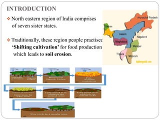 INTRODUCTION
 North eastern region of India comprises
of seven sister states.
 Traditionally, these region people practised
‘Shifting cultivation’ for food production
which leads to soil erosion.
•
 