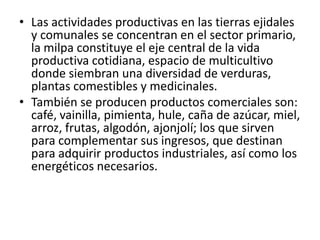 Las actividades productivas en las tierras ejidales y comunales se concentran en el sector primario, la milpa constituye el eje central de la vida productiva cotidiana, espacio de multicultivo donde siembran una diversidad de verduras, plantas comestibles y medicinales.También se producen productos comerciales son: café, vainilla, pimienta, hule, caña de azúcar, miel, arroz, frutas, algodón, ajonjolí; los que sirven para complementar sus ingresos, que destinan para adquirir productos industriales, así como los energéticos necesarios.