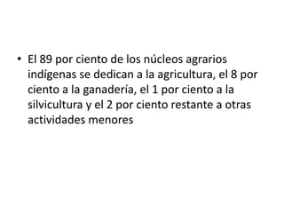 El 89 por ciento de los núcleos agrarios indígenas se dedican a la agricultura, el 8 por ciento a la ganadería, el 1 por ciento a la silvicultura y el 2 por ciento restante a otras actividades menores