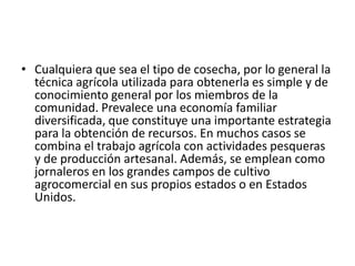 Cualquiera que sea el tipo de cosecha, por lo general la técnica agrícola utilizada para obtenerla es simple y de conocimiento general por los miembros de la comunidad. Prevalece una economía familiar diversificada, que constituye una importante estrategia para la obtención de recursos. En muchos casos se combina el trabajo agrícola con actividades pesqueras y de producción artesanal. Además, se emplean como jornaleros en los grandes campos de cultivo agrocomercial en sus propios estados o en Estados Unidos.