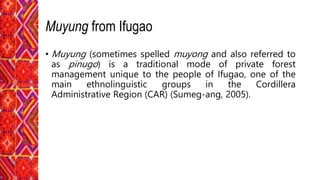 Muyung from Ifugao
• Muyung (sometimes spelled muyong and also referred to
as pinugo) is a traditional mode of private forest
management unique to the people of Ifugao, one of the
main ethnolinguistic groups in the Cordillera
Administrative Region (CAR) (Sumeg-ang, 2005).
 