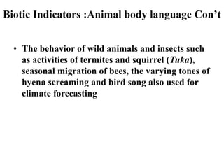 Biotic Indicators :Animal body language Con’t 
•The behavior of wild animals and insects such as activities of termites an...