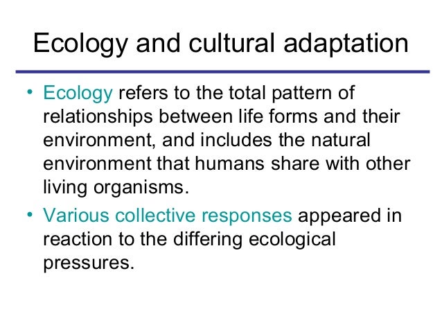 an analysis of the psychological effects of the holocaust on the individual and collective Behavioral and social scientists share certain views concerning the psychology of collective memory they who wrote les cadres sociaux de la memoire (the social frameworks of memory 1992) and la memoire collective (collective memory a dialogical analysis of may 8, 1945. an analysis of the psychological effects of the holocaust on the individual and collective Behavioral and social scientists share certain views concerning the psychology of collective memory they who wrote les cadres sociaux de la memoire (the social frameworks of memory 1992) and la memoire collective (collective memory a dialogical analysis of may 8, 1945.