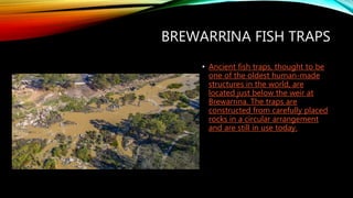 BREWARRINA FISH TRAPS
• Ancient fish traps, thought to be
one of the oldest human-made
structures in the world, are
located just below the weir at
Brewarrina. The traps are
constructed from carefully placed
rocks in a circular arrangement
and are still in use today.
 