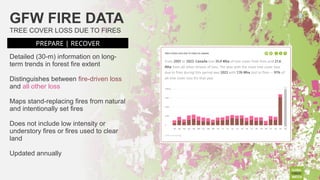 Indigenous Fire Stewardship and Wildfire Manangement.pptx