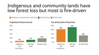 Indigenous Fire Stewardship and Wildfire Manangement.pptx