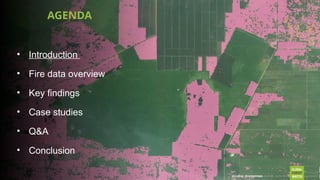 Indigenous Fire Stewardship and Wildfire Manangement.pptx