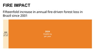 Indigenous Fire Stewardship and Wildfire Manangement.pptx