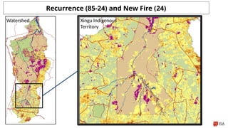 Indigenous Fire Stewardship and Wildfire Manangement.pptx