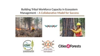Indigenous Fire Stewardship and Wildfire Manangement.pptx
