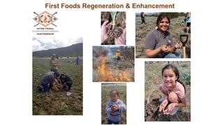 Indigenous Fire Stewardship and Wildfire Manangement.pptx
