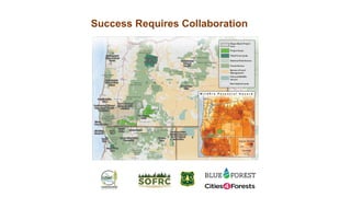 Indigenous Fire Stewardship and Wildfire Manangement.pptx