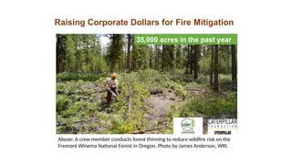 Indigenous Fire Stewardship and Wildfire Manangement.pptx