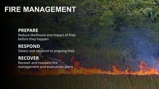 Indigenous Fire Stewardship and Wildfire Manangement.pptx