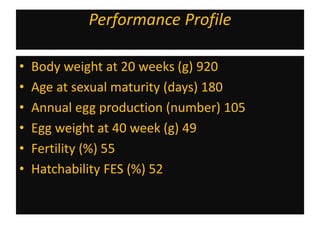 Performance Profile
• Body weight at 20 weeks (g) 920
• Age at sexual maturity (days) 180
• Annual egg production (number) 105
• Egg weight at 40 week (g) 49
• Fertility (%) 55
• Hatchability FES (%) 52
 