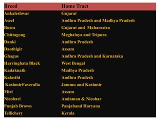 Breed Home Tract
Ankaleshwar Gujarat
Aseel Andhra Pradesh and Madhya Pradesh
Busra Gujarat and Maharastra
Chittagong Meghalaya and Tripura
Danki Andhra Pradesh
Daothigir Assam
Ghagus Andhra Pradesh and Karnataka
Harringhata Black West Bengal
Kadaknath Madhya Pradesh
Kalasthi Andhra Pradesh
KashmirFaverolla Jammu and Kashmir
Miri Assam
Nicobari Andaman & Nicobar
Punjab Brown Panjaband Haryana
Tellichery Kerala
 