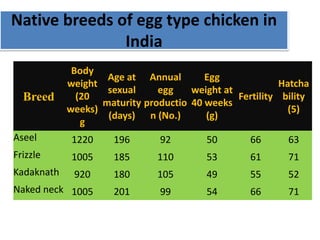 Native breeds of egg type chicken in
India
Breed
Body
weight
(20
weeks)
g
Age at
sexual
maturity
(days)
Annual
egg
productio
n (No.)
Egg
weight at
40 weeks
(g)
Fertility
Hatcha
bility
(5)
Aseel 1220 196 92 50 66 63
Frizzle 1005 185 110 53 61 71
Kadaknath 920 180 105 49 55 52
Naked neck 1005 201 99 54 66 71
 