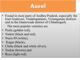 Aseel
• Found in most parts of Andhra Pradesh, especially the
East Godavari, Visakhapatnam, Viziangaram districts
and in the Dantewada district of Chhattisgarh.
The most popular varieties are
• Peela (golden red),
• Yarkin (black and red),
• Nurie 89 (white),
• Kagar (black),
• Chitta (black and white silver),
• Teekar (brown) and
• Reza (light red).
 