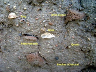 Brick piecesSlagBonePottaryshardsQuartzBiochar /Charcoal