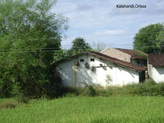 Kalahandi,Orissa