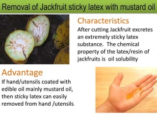Removal of Jackfruit sticky latex with mustard oil
Characteristics
After cutting Jackfruit excretes
an extremely sticky latex
substance. The chemical
property of the latex/resin of
jackfruits is oil solubility
Advantage
If hand/utensils coated with
edible oil mainly mustard oil,
then sticky latex can easily
removed from hand /utensils.
 