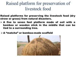 Raised platform for preservation of
livestock food
Raised platforms for preserving the livestock food (dry
straw or grass) from natural disasters.
 A five to seven feet platform made of soil with a
bamboo or wooden stick in the middle that can be
tied to a surrounding tree.
 A “matcha” or bamboo-made scaffold
 