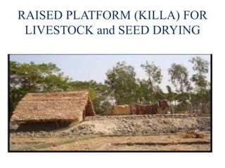 RAISED PLATFORM (KILLA) FOR
LIVESTOCK and SEED DRYING
 