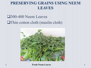 PRESERVING GRAINS USING NEEM
LEAVES
300-400 Neem Leaves
Thin cotton cloth (muslin cloth)
Fresh Neem Leaves
 