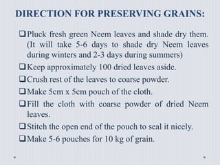 DIRECTION FOR PRESERVING GRAINS:
Pluck fresh green Neem leaves and shade dry them.
(It will take 5-6 days to shade dry Neem leaves
during winters and 2-3 days during summers)
Keep approximately 100 dried leaves aside.
Crush rest of the leaves to coarse powder.
Make 5cm x 5cm pouch of the cloth.
Fill the cloth with coarse powder of dried Neem
leaves.
Stitch the open end of the pouch to seal it nicely.
Make 5-6 pouches for 10 kg of grain.
 