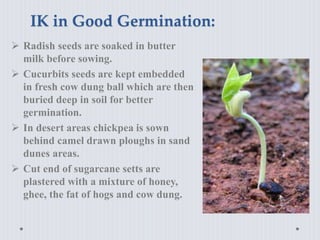IK in Good Germination:
 Radish seeds are soaked in butter
milk before sowing.
 Cucurbits seeds are kept embedded
in fresh cow dung ball which are then
buried deep in soil for better
germination.
 In desert areas chickpea is sown
behind camel drawn ploughs in sand
dunes areas.
 Cut end of sugarcane setts are
plastered with a mixture of honey,
ghee, the fat of hogs and cow dung.
 