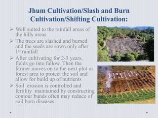 Jhum Cultivation/Slash and Burn
Cultivation/Shifting Cultivation:
 Well suited to the rainfall areas of
the hilly areas
 The trees are slashed and burned
and the seeds are sown only after
1st rainfall
 After cultivating for 2-3 years,
fields go into fallow. Then the
farmer moves on to the next plot or
forest area to protect the soil and
allow for build up of nutrients
 Soil erosion is controlled and
fertility maintained by constructing
contour bunds often may reduce of
soil born diseases.
 