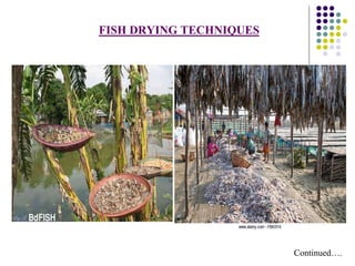 Continued….
FISH DRYING TECHNIQUES
 