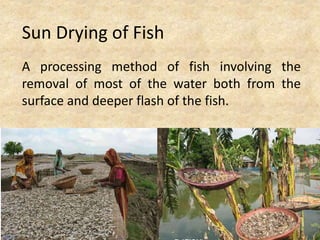 Sun Drying of Fish
A processing method of fish involving the
removal of most of the water both from the
surface and deeper flash of the fish.
 