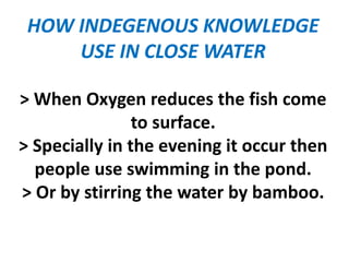 HOW INDEGENOUS KNOWLEDGE
USE IN CLOSE WATER
> When Oxygen reduces the fish come
to surface.
> Specially in the evening it occur then
people use swimming in the pond.
> Or by stirring the water by bamboo.
 