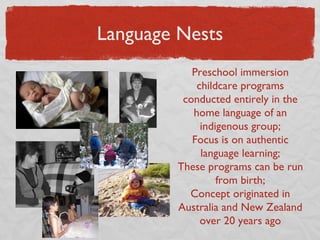 Language Nests Preschool immersion childcare programs conducted entirely in the home language of an indigenous group; Focus is on authentic language learning; These programs can be run from birth; Concept originated in Australia and New Zealand over 20 years ago 