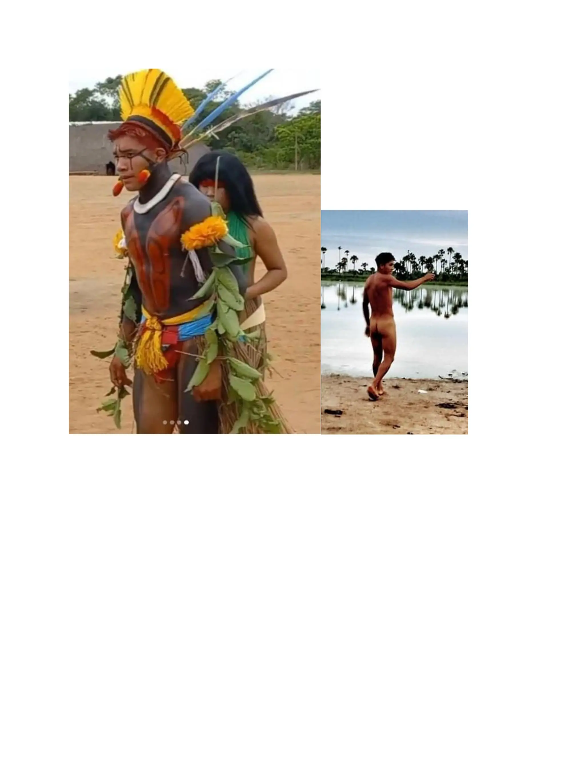 INDIGENOUS NATIVE INDIANS ASIANS COLONIZATION CONQUEST AND THE MAJORITY.pdf