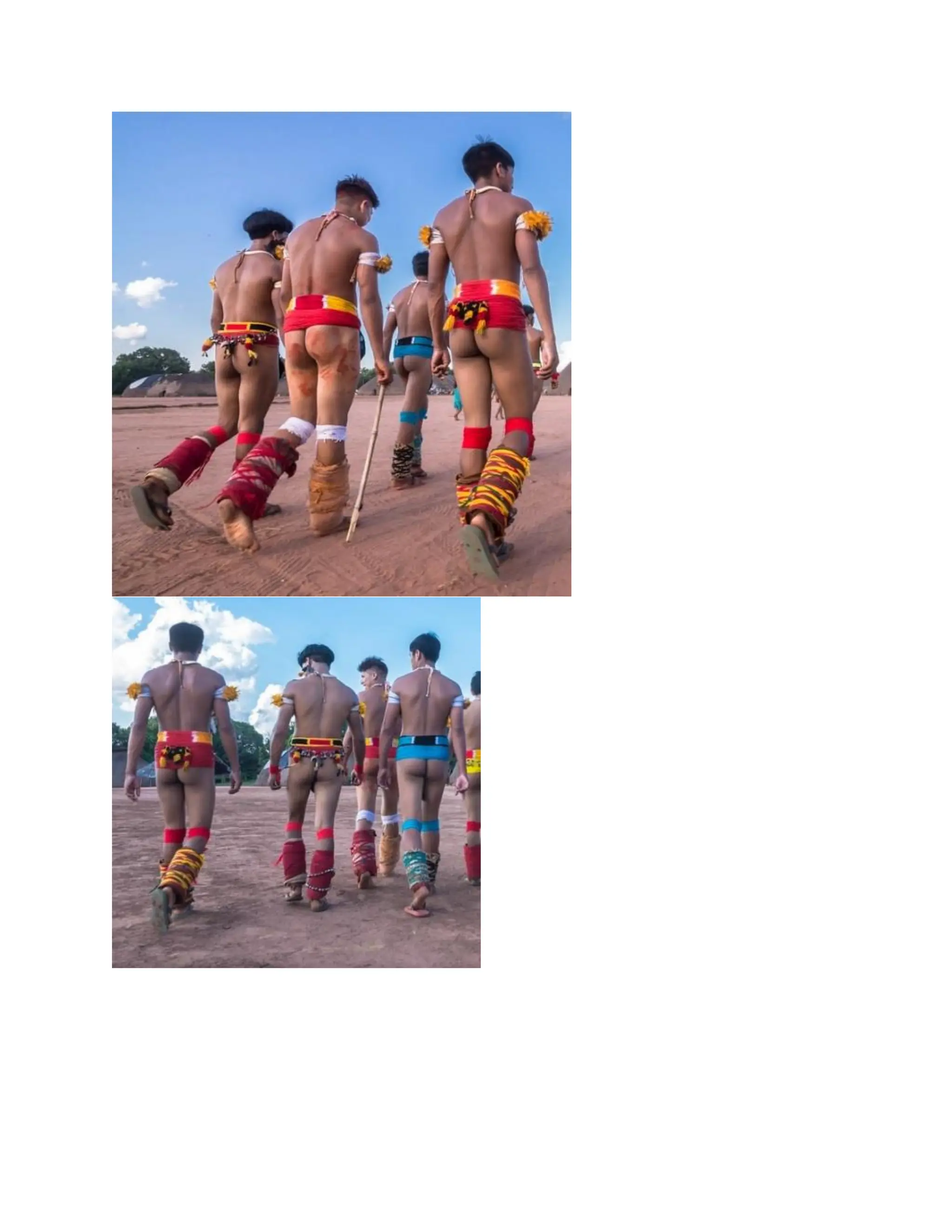 INDIGENOUS NATIVE INDIANS ASIANS COLONIZATION CONQUEST AND THE MAJORITY.pdf