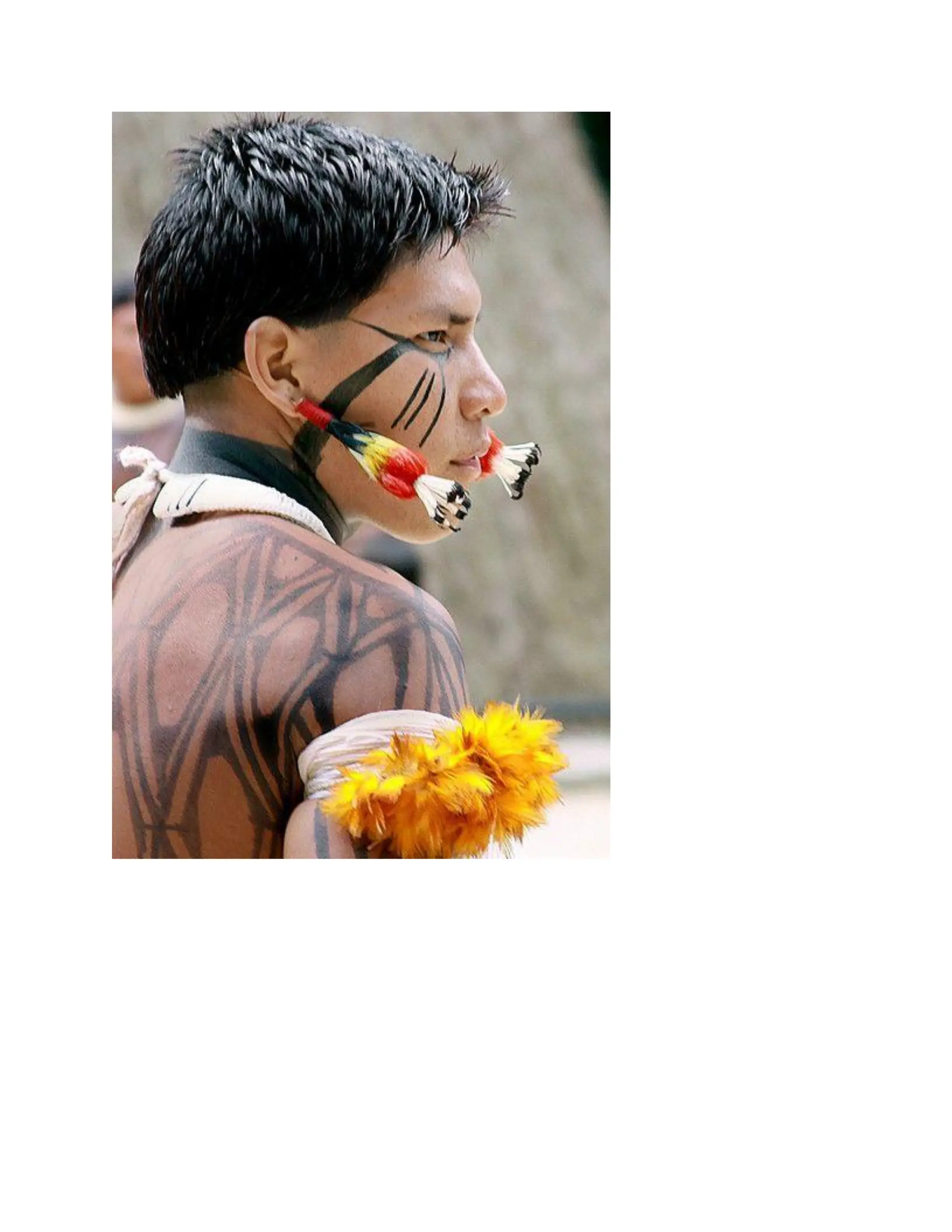 INDIGENOUS NATIVE INDIANS ASIANS COLONIZATION CONQUEST AND THE MAJORITY.pdf