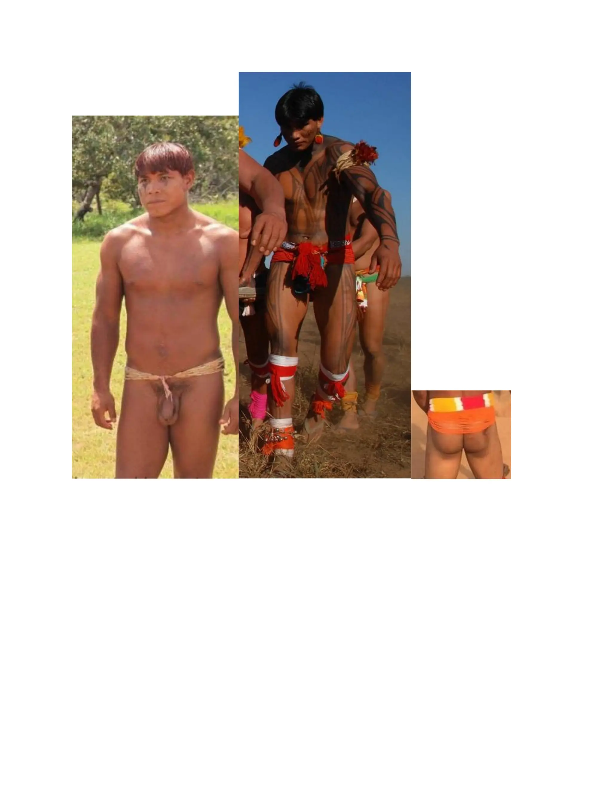 INDIGENOUS NATIVE INDIANS ASIANS COLONIZATION CONQUEST AND THE MAJORITY.pdf