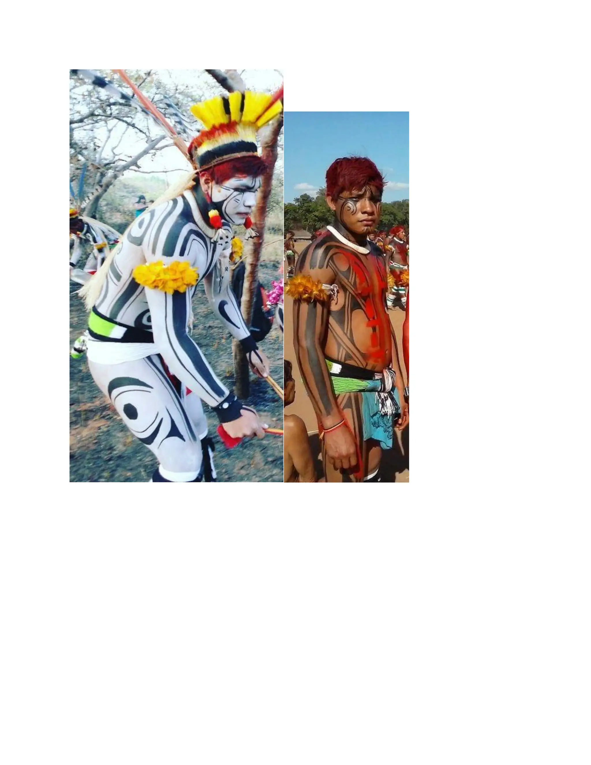 INDIGENOUS NATIVE INDIANS ASIANS COLONIZATION CONQUEST AND THE MAJORITY.pdf