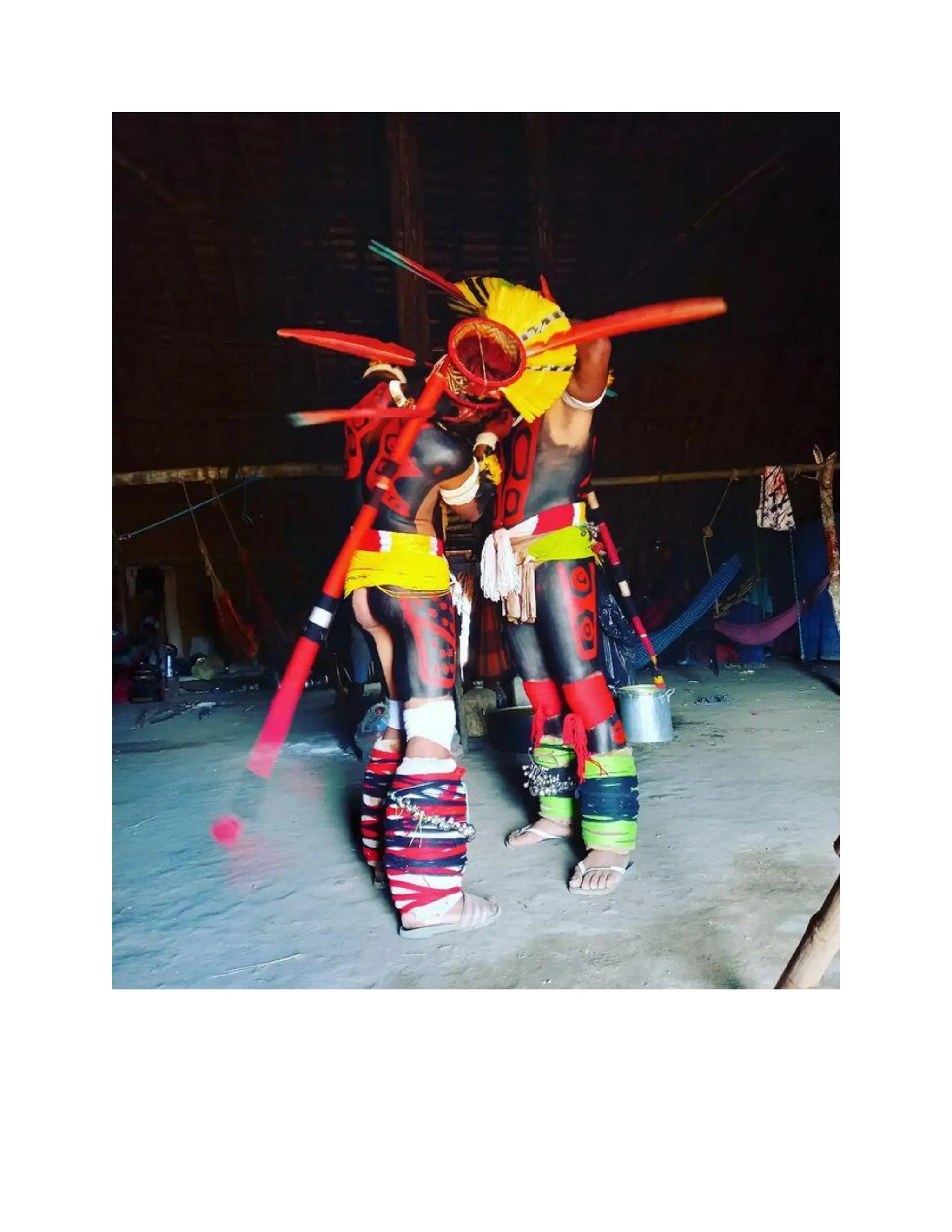 INDIGENOUS NATIVE INDIANS ASIANS COLONIZATION CONQUEST AND THE MAJORITY.pdf