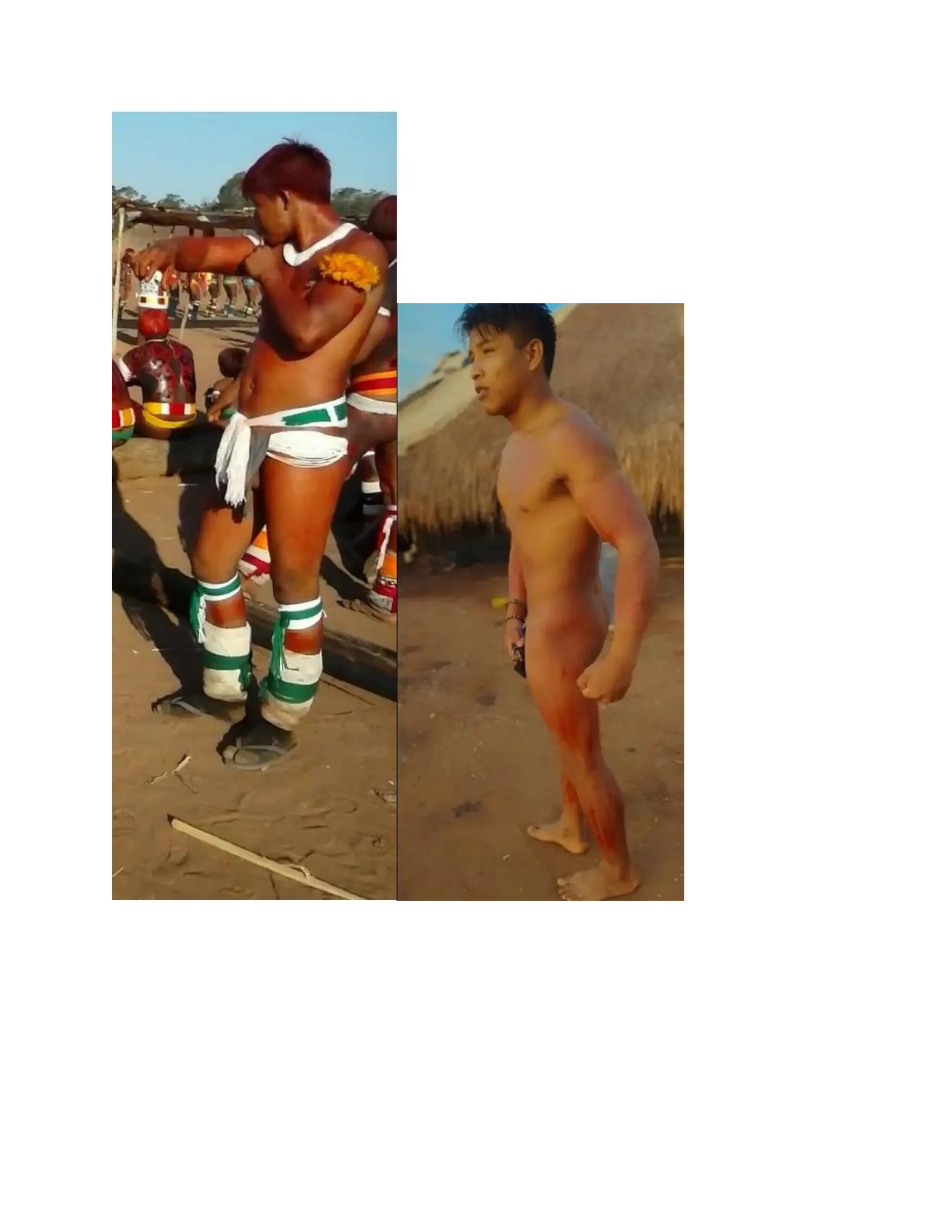 INDIGENOUS NATIVE INDIANS ASIANS COLONIZATION CONQUEST AND THE MAJORITY.pdf