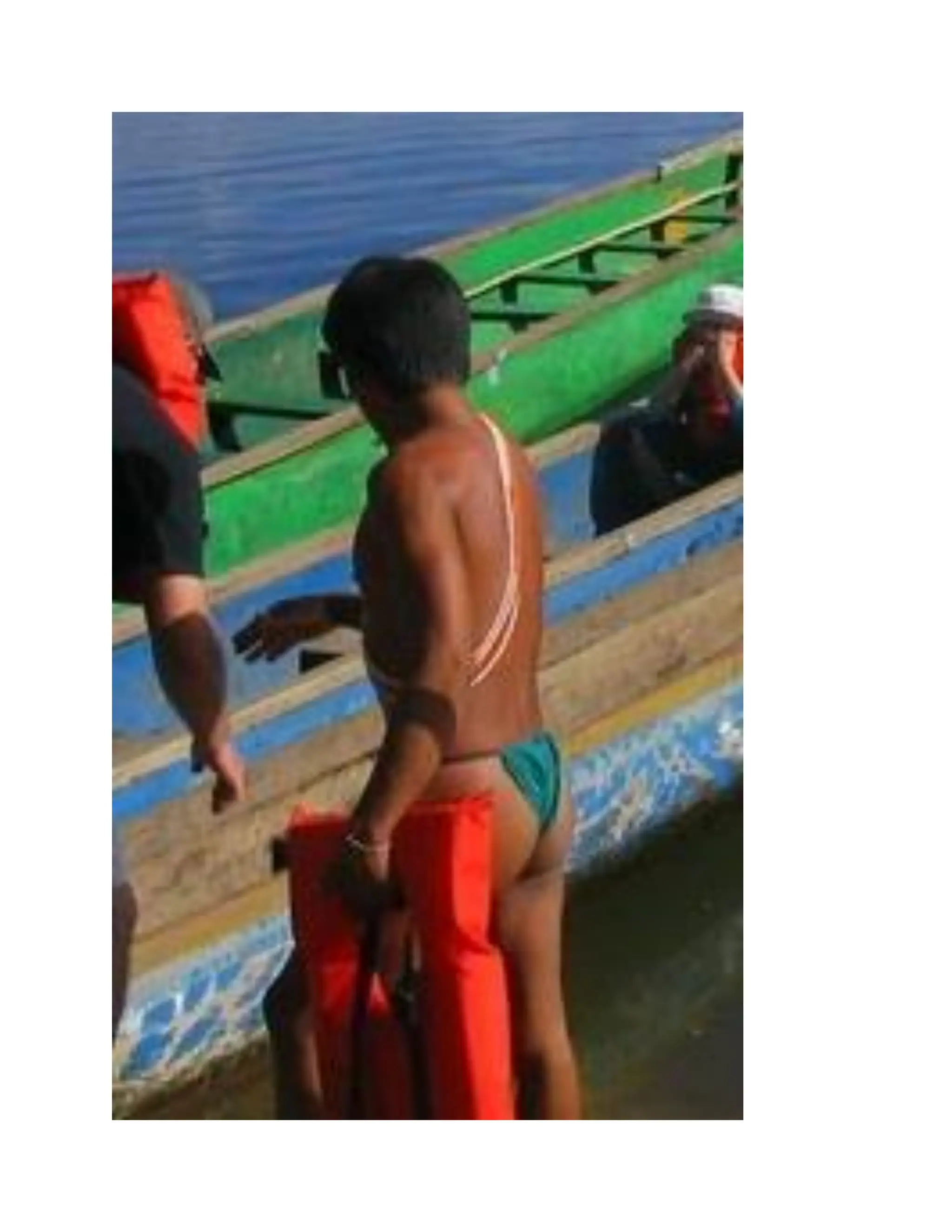 INDIGENOUS NATIVE INDIANS ASIANS COLONIZATION CONQUEST AND THE MAJORITY.pdf