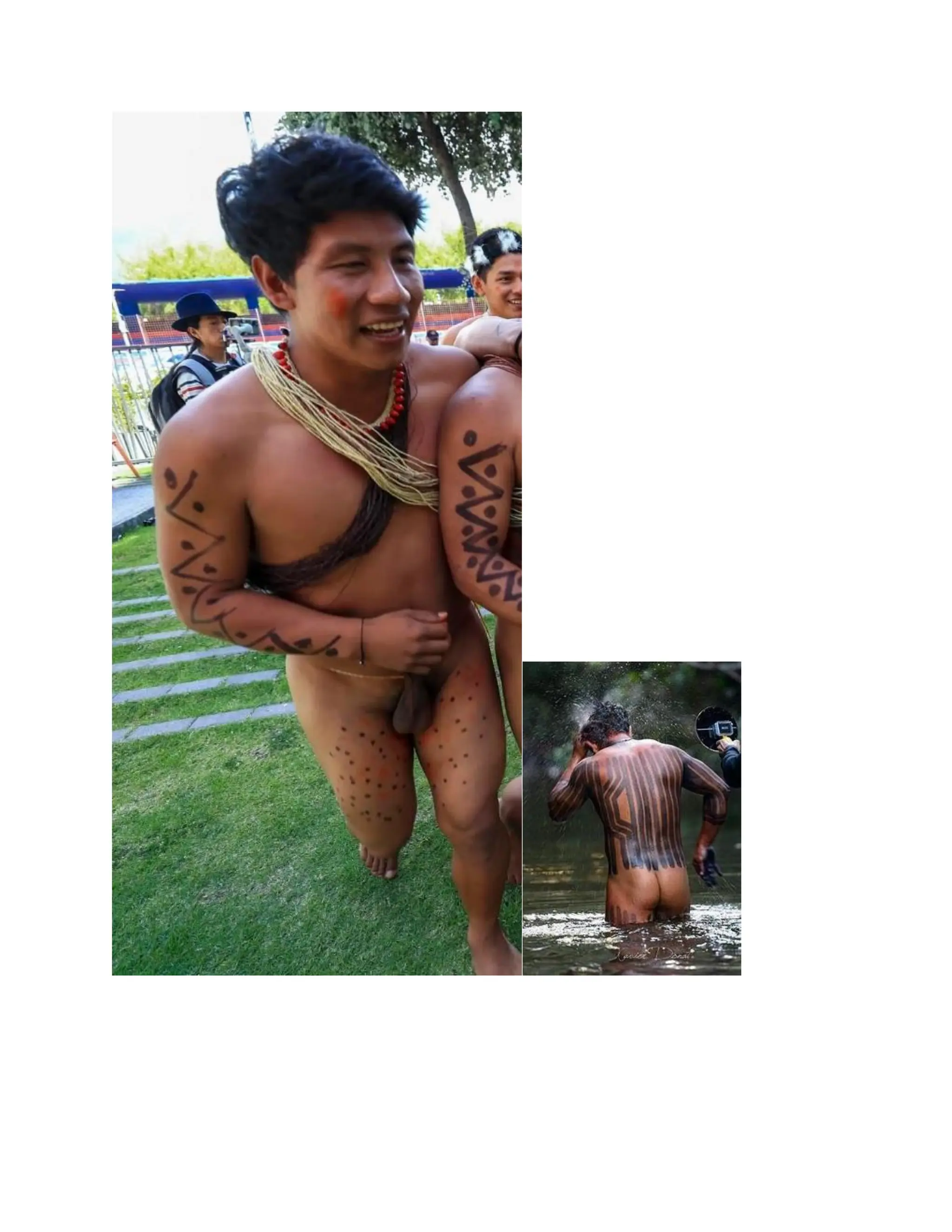 INDIGENOUS NATIVE INDIANS ASIANS COLONIZATION CONQUEST AND THE MAJORITY.pdf