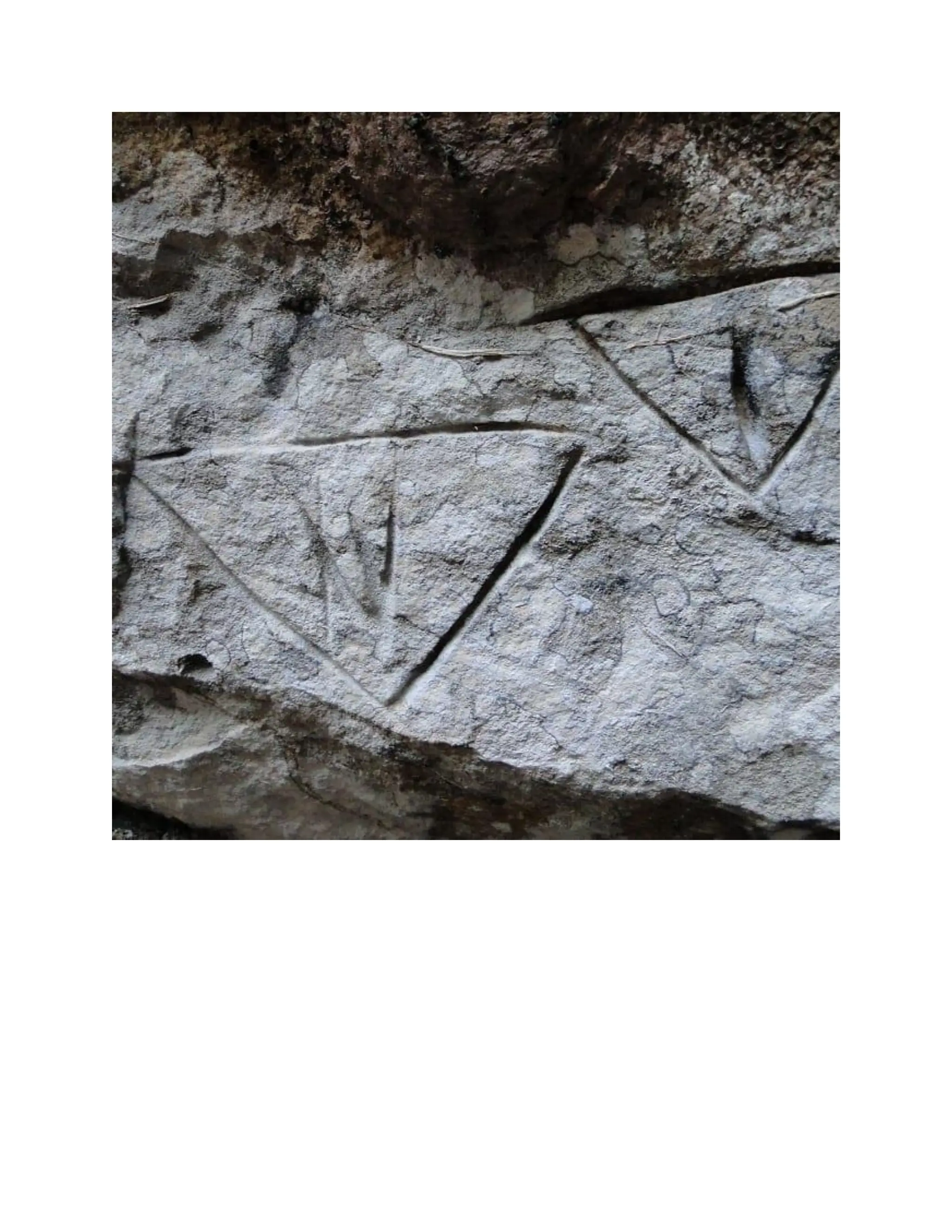 INDIGENOUS NATIVE INDIANS ASIANS COLONIZATION CONQUEST AND THE MAJORITY.pdf