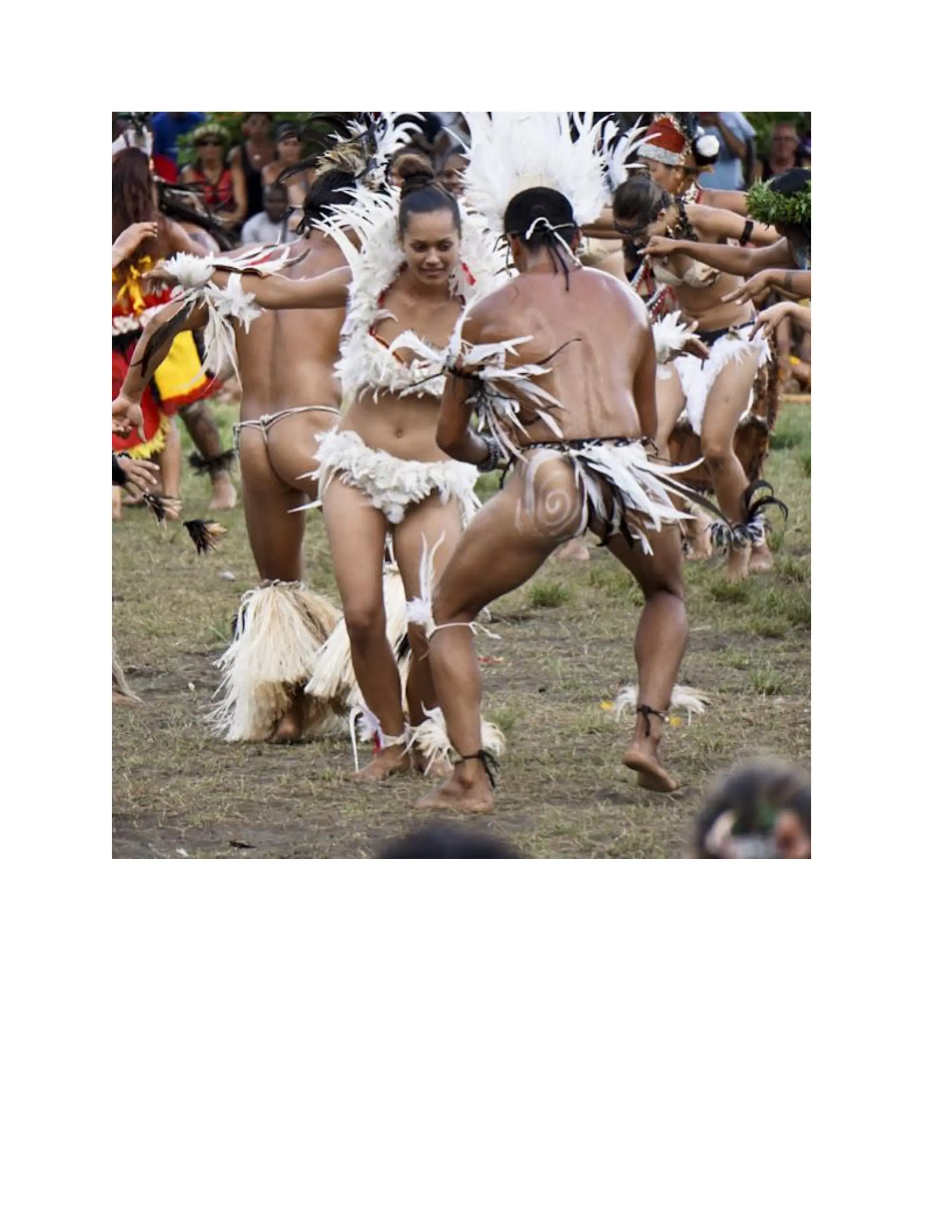 INDIGENOUS NATIVE INDIANS ASIANS COLONIZATION CONQUEST AND THE MAJORITY.pdf